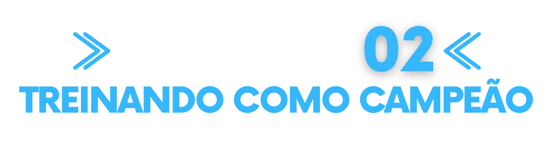 manual do faixa branca